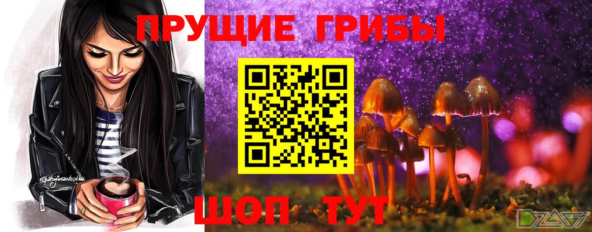 Галлюциногенные грибы Psilocybe  дарнет шоп  Вход с VPN  Железногорск  Псилоцибиновые грибы Psilocybe 