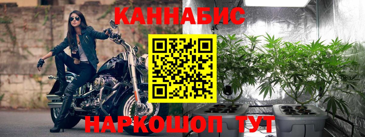 Конопля сатива Железногорск